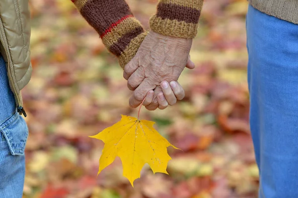 Bijgesneden Beeld Jongen Grootvader Handen Met Blad Natuurlijke Achtergrond — Stockfoto