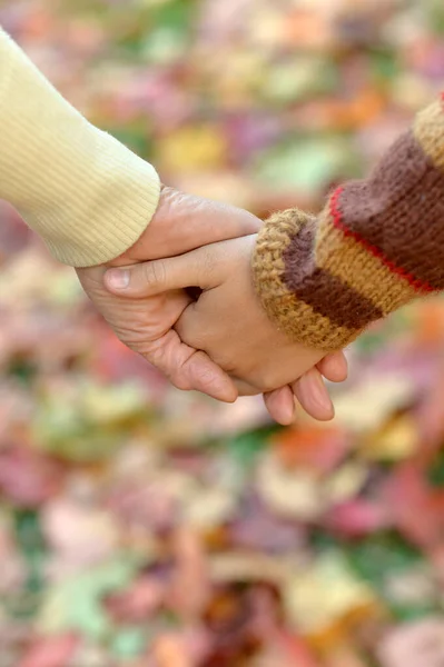 Immagine Ritagliata Ragazzo Nonno Consegna Sfondo Naturale — Foto Stock