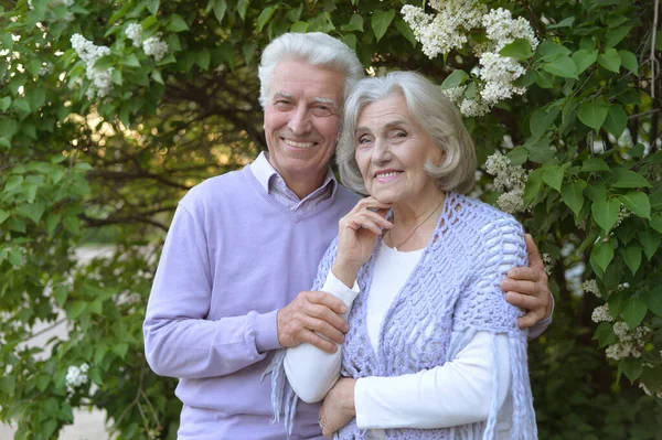 Portret Van Mooi Senior Koppel Door Seringen Het Park — Stockfoto