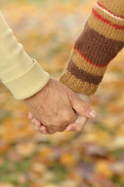 Abgeschnittenes Bild Junge Und Großvater Geben Natürlichen Hintergrund Preis — Stockfoto