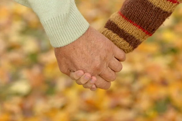 Cropped Image Boy Grandfather Hands Natural Background — Stock Photo, Image