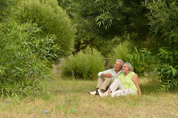 Casal Sênior Sentado Grama Parque — Fotografia de Stock