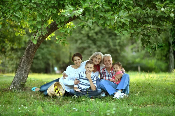 Lycklig Familj Med Barn Parken — Stockfoto