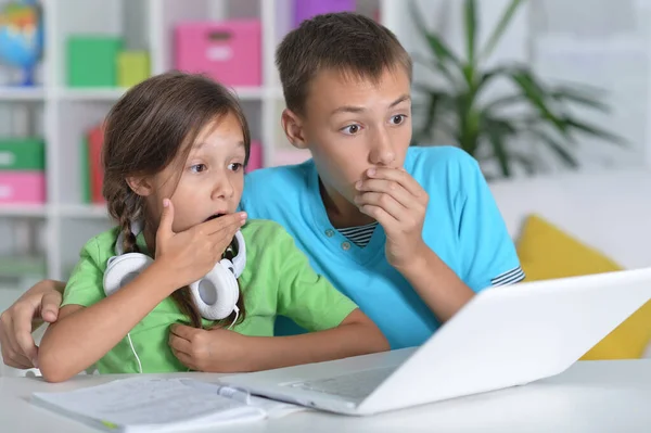 Bruder Und Schwester Mit Laptop Tisch — Stockfoto