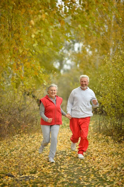 适合在公园里跑步的老夫妇 — 图库照片