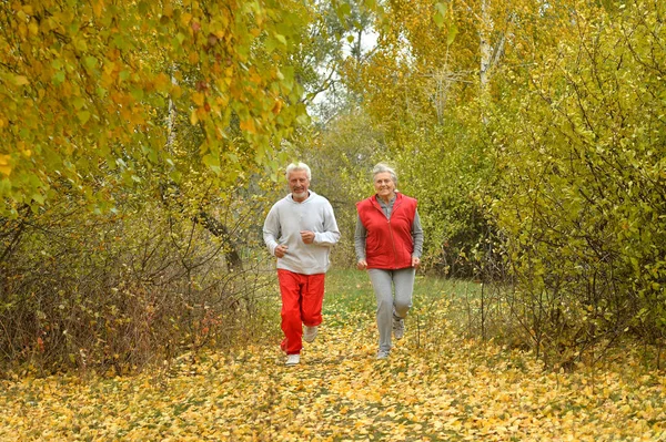 Forma Pareja Mayor Corriendo Parque —  Fotos de Stock