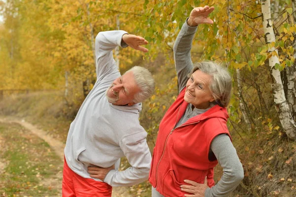 Forma Pareja Mayor Haciendo Ejercicio Parque —  Fotos de Stock