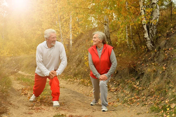 Fit Senior Couple Exercising Park — Stock Photo, Image