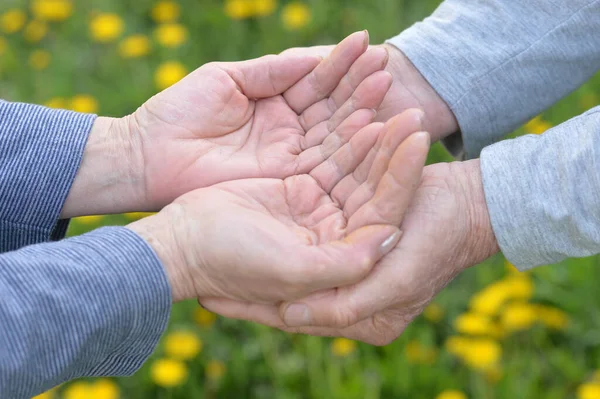 Pareja Ancianos Tomados Mano Otoño Parque — Foto de Stock