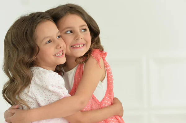 Retrato Estudio Hermanas Gemelas Lindas Posando — Foto de Stock