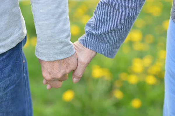 老人夫妇手挽手在秋天公园 — 图库照片