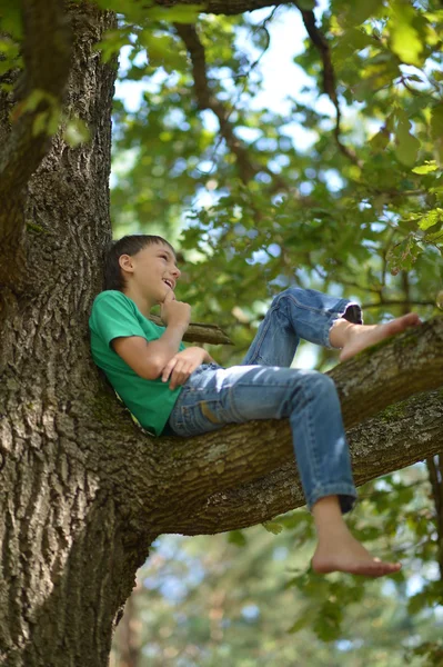 Kleine jongen op boom — Stockfoto