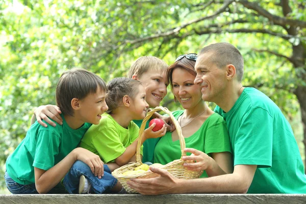 Šťastná rodina na pikniku — Stock fotografie