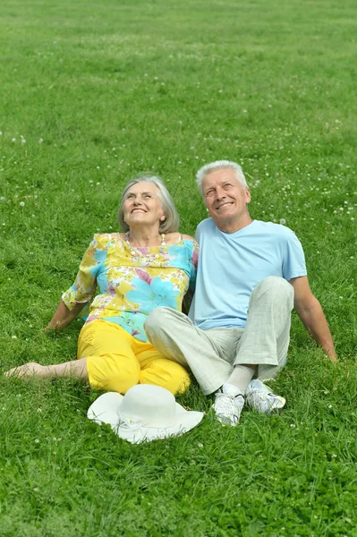 Beautiful old couple in field — Stock Photo, Image