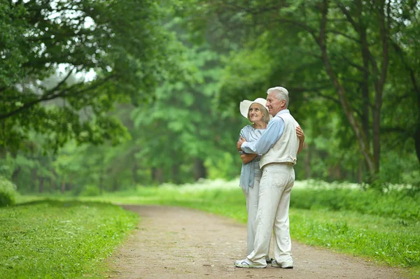 Äldre par i sommaren park — Stockfoto