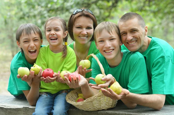 Mutlu aile piknik yapıyor. — Stok fotoğraf