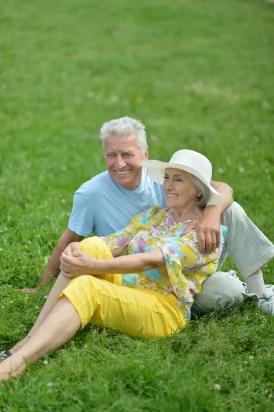 Schönes altes Paar im Feld — Stockfoto