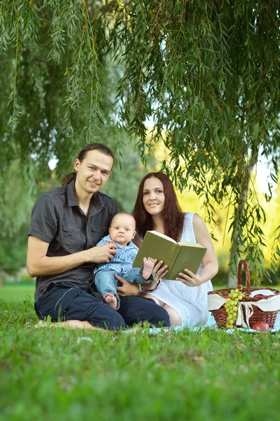 Família lendo um livro para o pequeno filho no parque — Fotografia de Stock