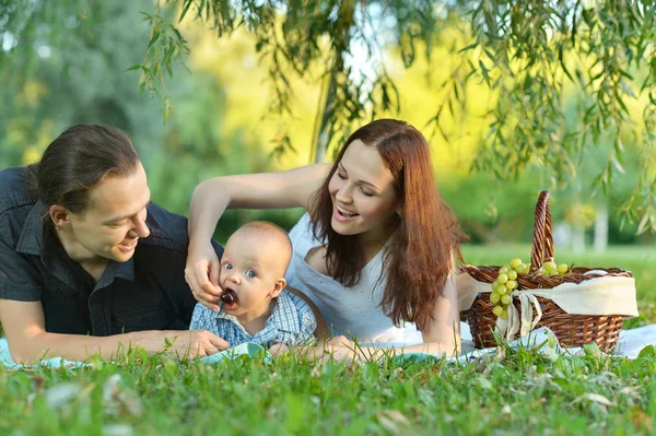 Família no piquenique no parque — Fotografia de Stock