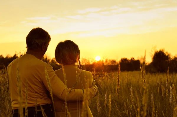 Paar auf dem Feld bei Sonnenuntergang — Stockfoto