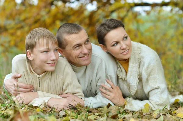 秋の公園でのリラックスできる家族 — ストック写真