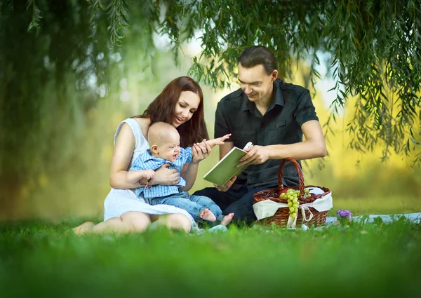 Familia leyendo un libro a un pequeño hijo en el parque — Foto de Stock