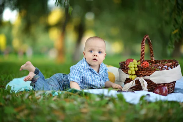 Little happy boy have a picnic — Stock Photo, Image