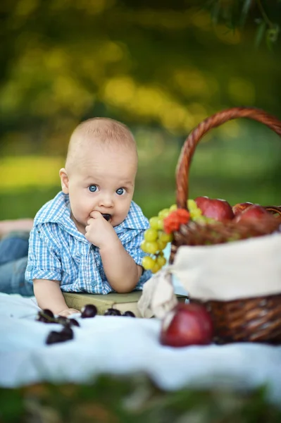 少し幸せな少年、ピクニックをしています。 — ストック写真