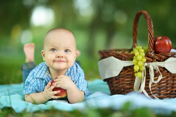 Küçük mutlu bir oğlum var. piknik — Stok fotoğraf