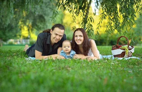 Family at the picnic in the park — Stock Photo, Image