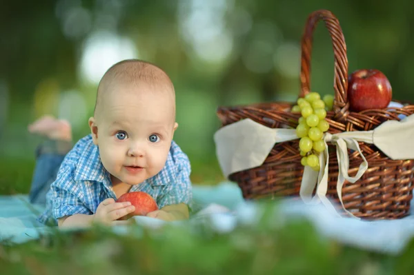 Küçük mutlu bir oğlum var. piknik — Stok fotoğraf