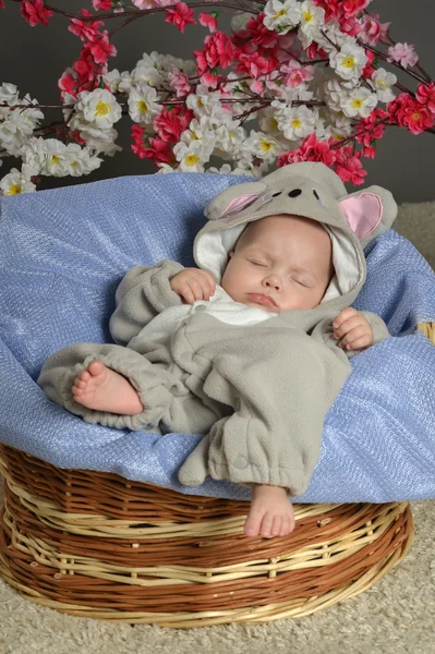 Sovende baby i kurv - Stock-foto