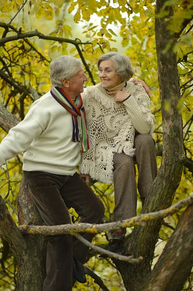 Mature couple walking in the  autumn park — Stock Photo, Image