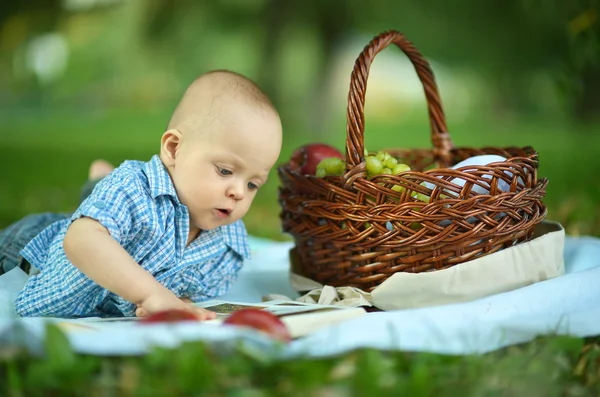 Littleboy läsa en bok på picknick — Stockfoto