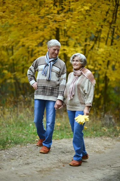 Älteres Paar spaziert im Herbstpark — Stockfoto