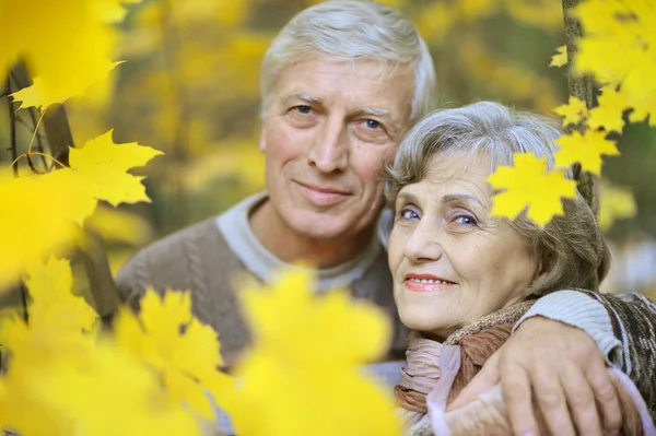 Feliz pareja de edad posando en el parque de otoño — Foto de Stock