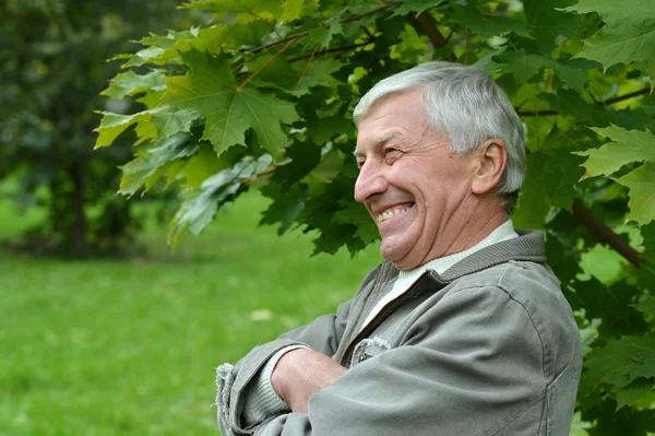 Senior man promenader i parken på hösten — Stockfoto