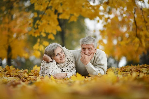 Senior couple in autumn — Stock Photo, Image