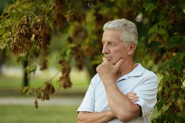 Ernsthafter Senior denkt im Park nach — Stockfoto