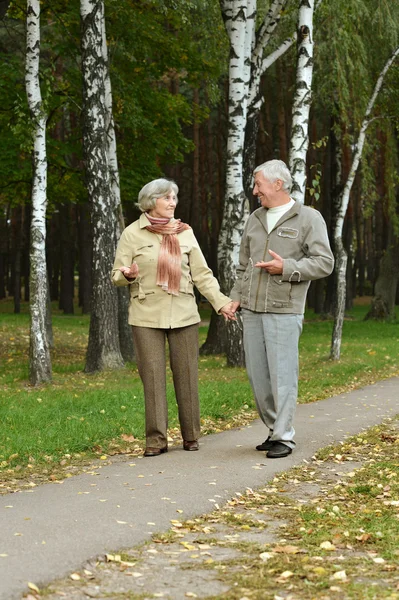 Seniorenpaar in herfstpark — Stockfoto