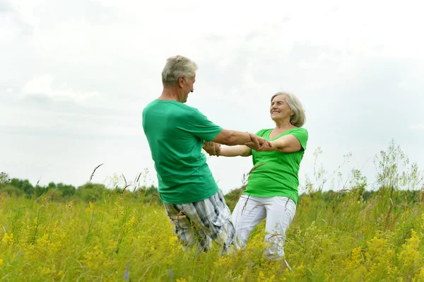 Pareja mayor en el campo de verano — Foto de Stock