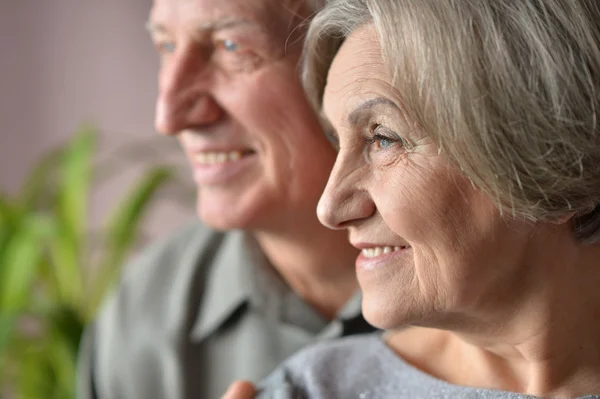 Porträtt av ett lyckligt äldre par — Stockfoto