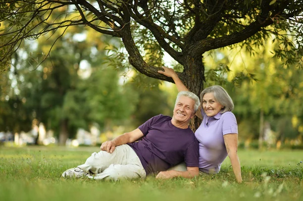 Old people sitting in the autumn park Royalty Free Stock Images