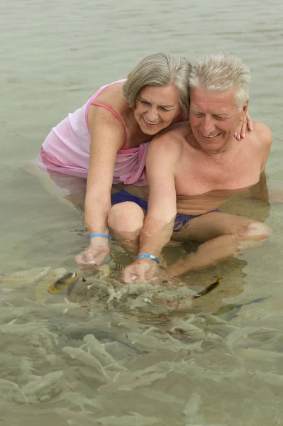 Couple nourrissant des poissons — Photo