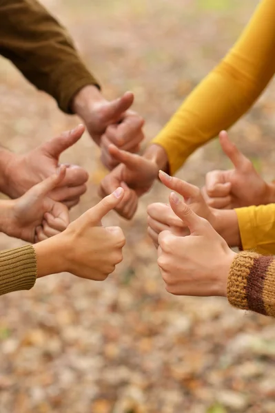 Hands of family — Stock Photo, Image