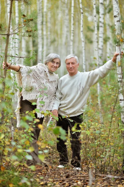 Couple âgé dans le parc — Photo