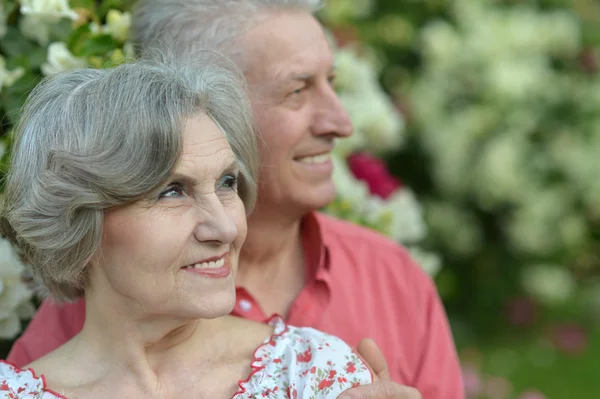 Elderly couple outdoor — Stock Photo, Image