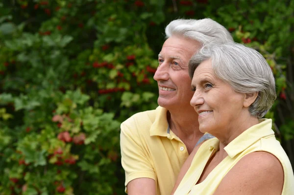 Senior couple outdoors — Stock Photo, Image
