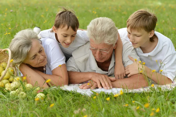 Família fazendo piquenique — Fotografia de Stock