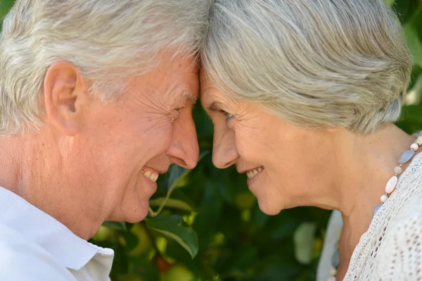 Senior couple outdoor — Stock Photo, Image